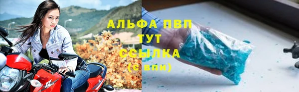 прущие грибы Вязьма